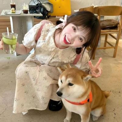 简单计划